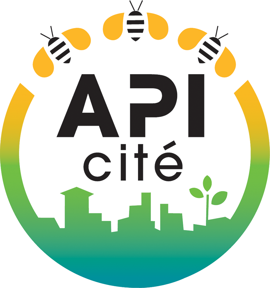 API Cité