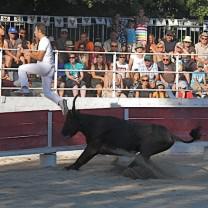 Journée Camarguaise