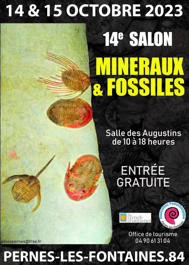 14e Salon de Minéraux et Fossiles