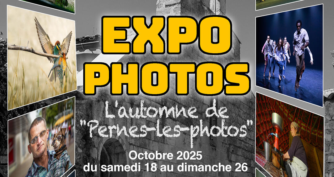 Exposition l'automne de Pernes photos