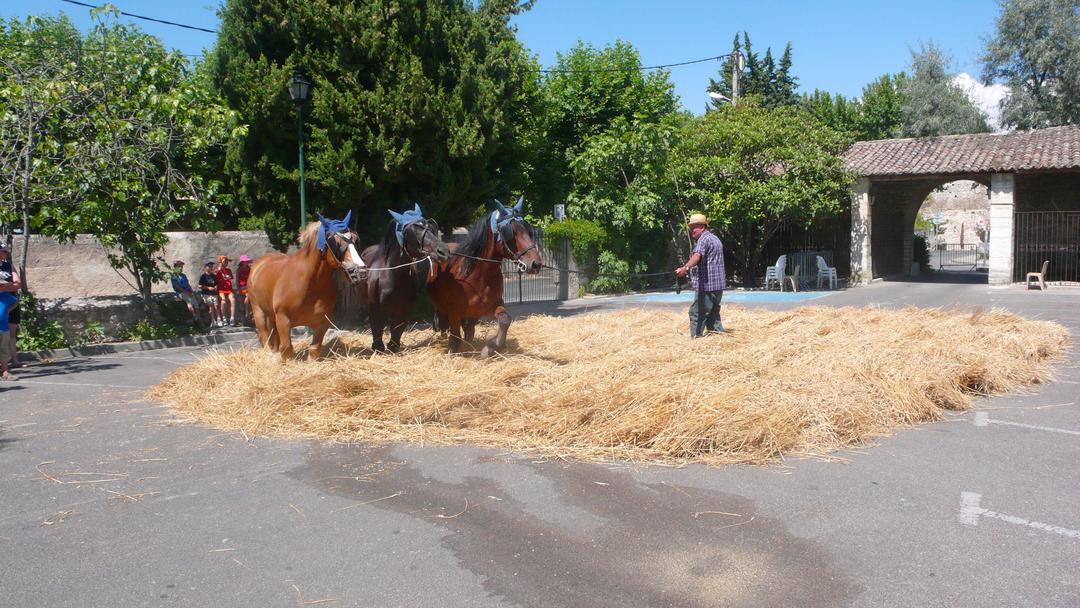 Prémices de la Fête du Patrimoine