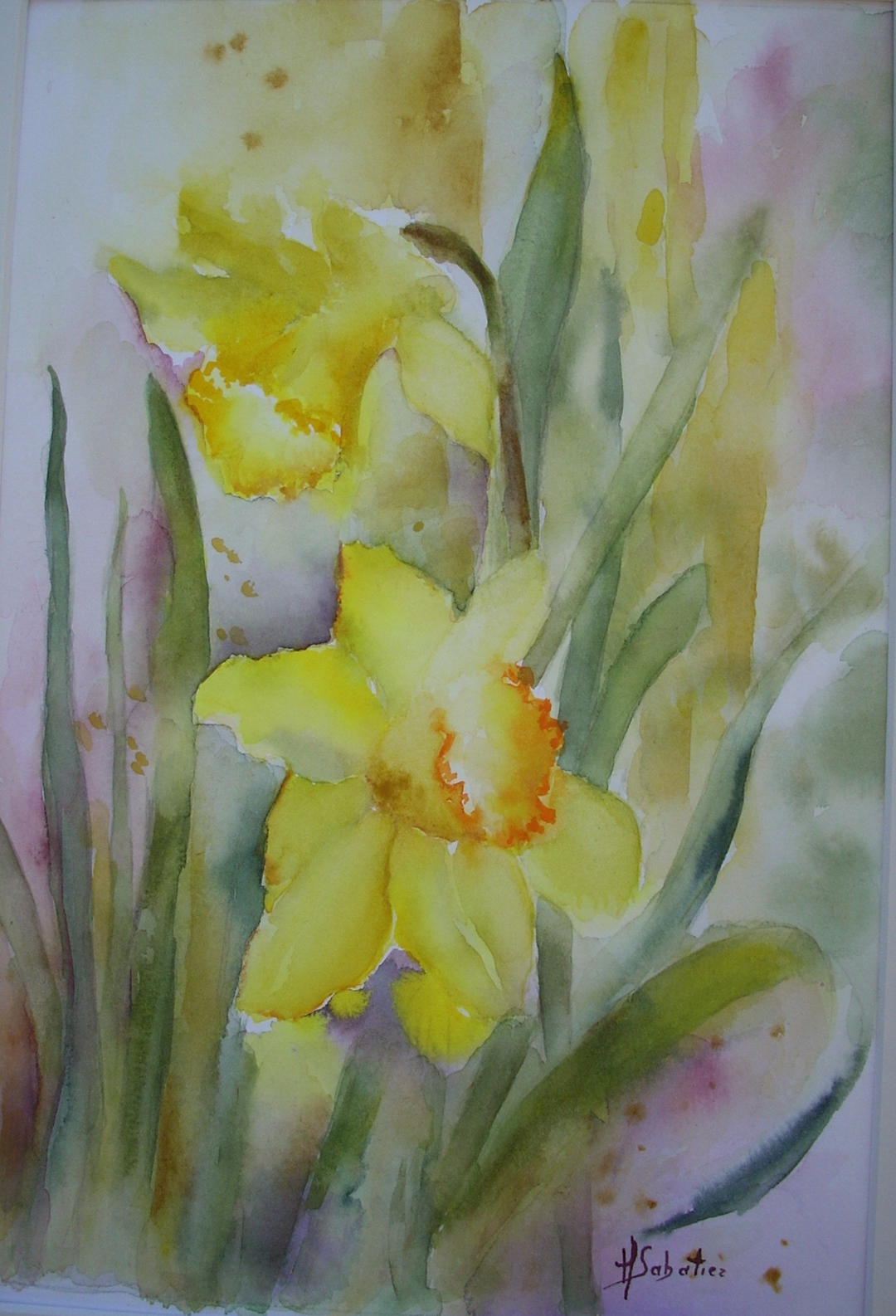 Exposition d'aquarelles