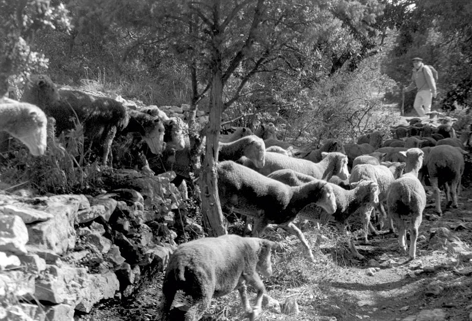 Veillée Comtadine " les bergers "