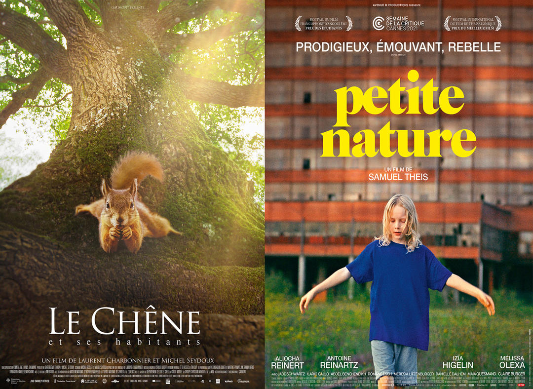 Cinéma avec Cinéval