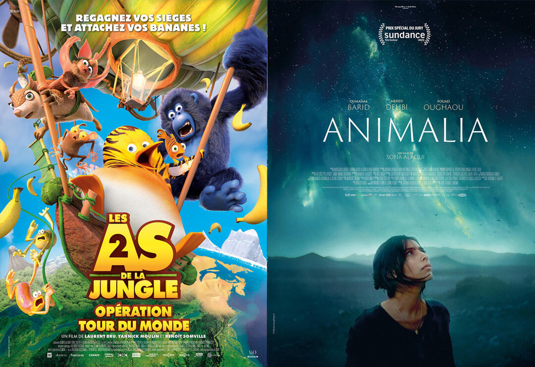 Cinéma avec Cinéval