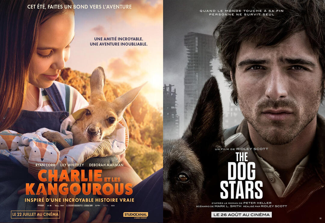 Cinéma avec CINEVAL