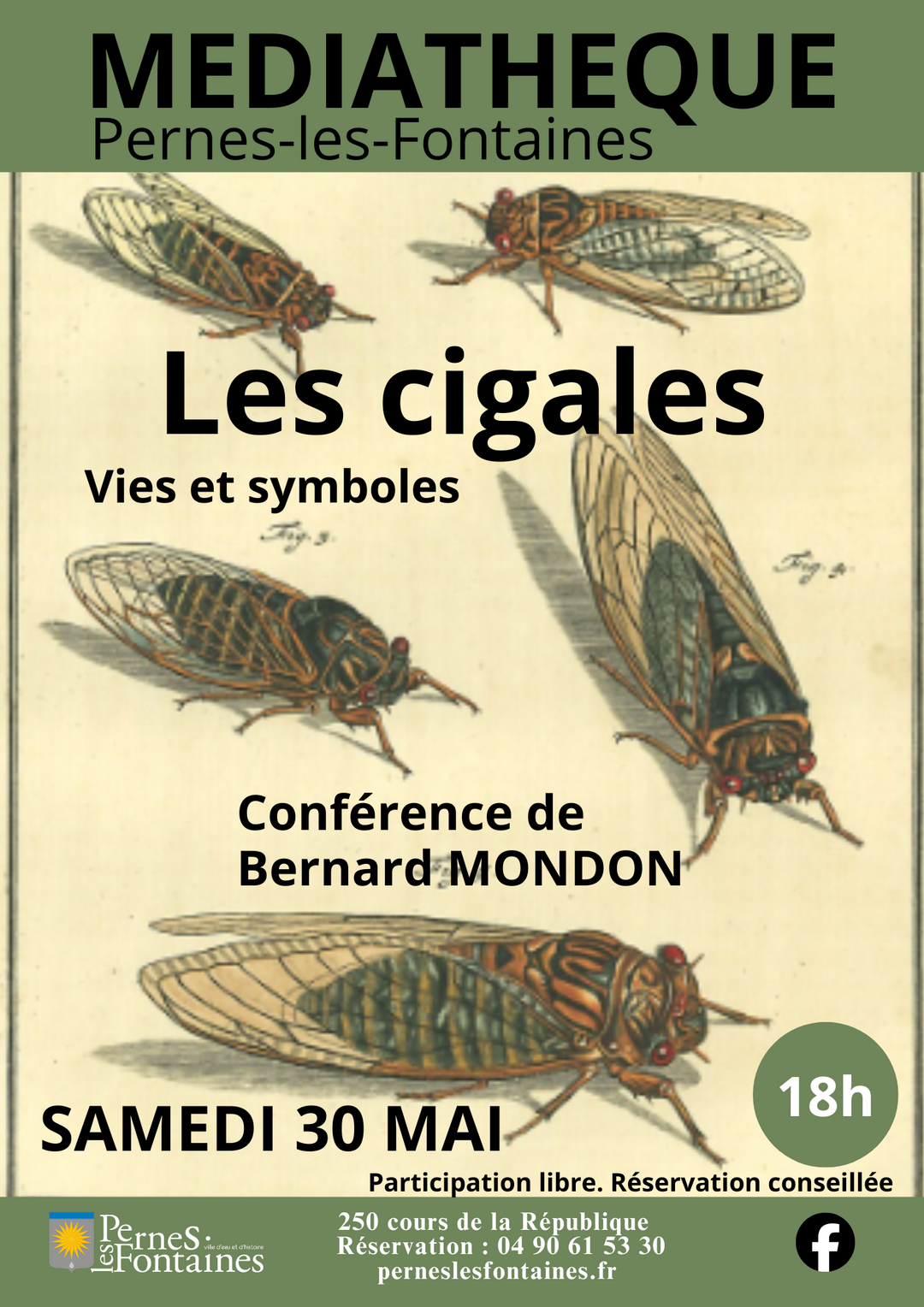 Conférence « La cigale, vie et symboles »