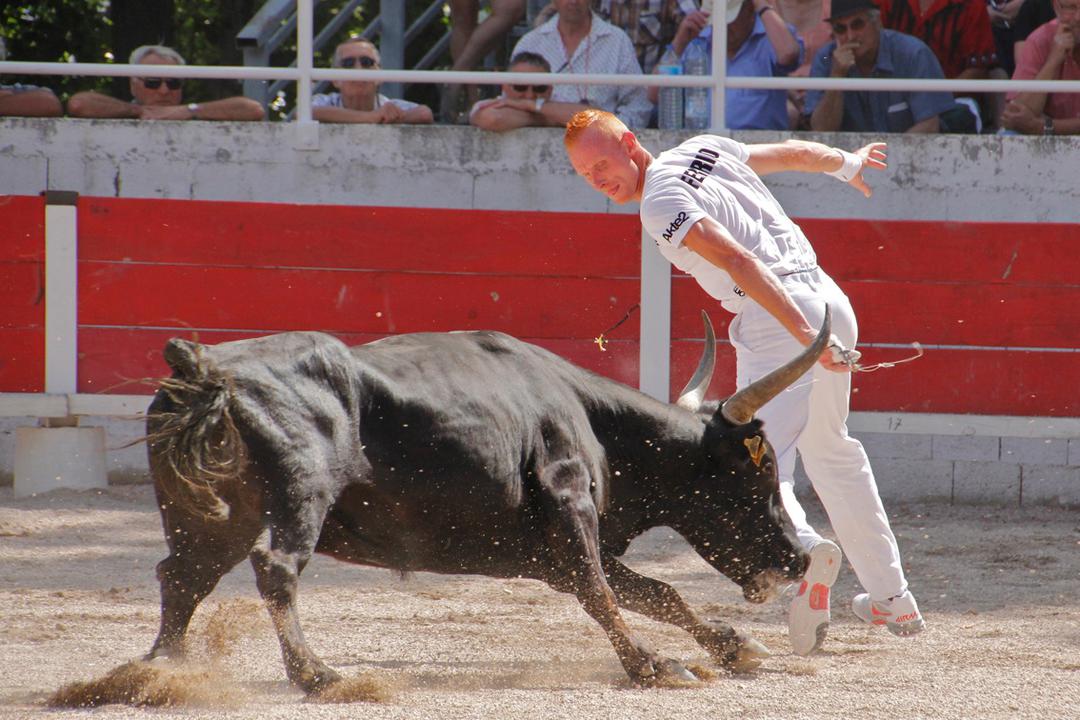 Lou touréou pernen organise la première course du Trophée du Vaucluse