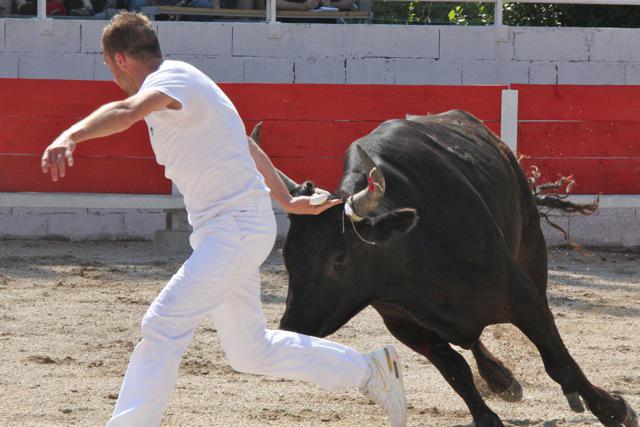 Conférence débat "la course et les traditions camarguaises" 