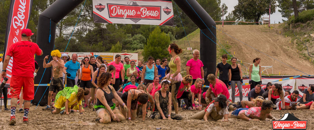 DINGUE DE BOUE