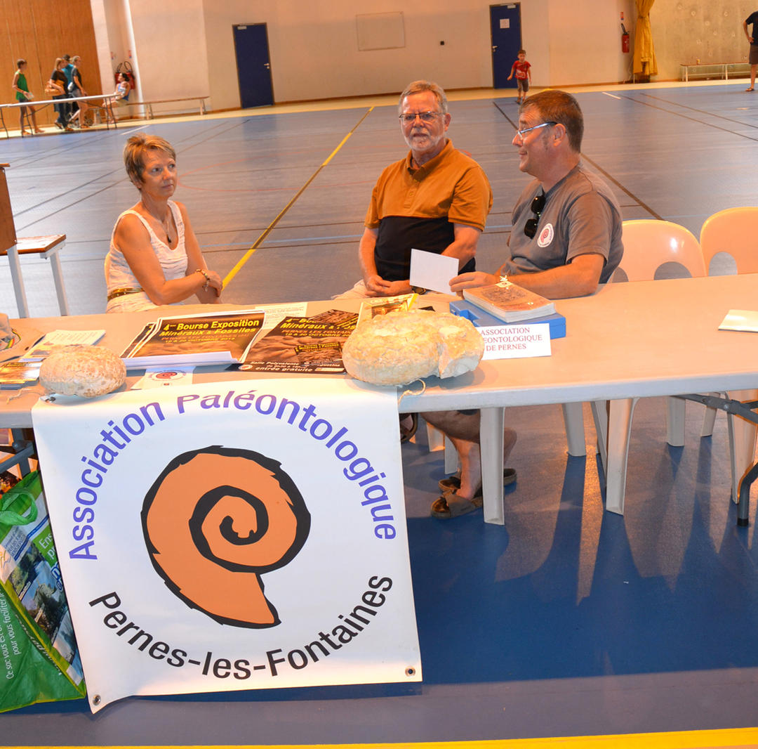 Fossiles et Minéraux