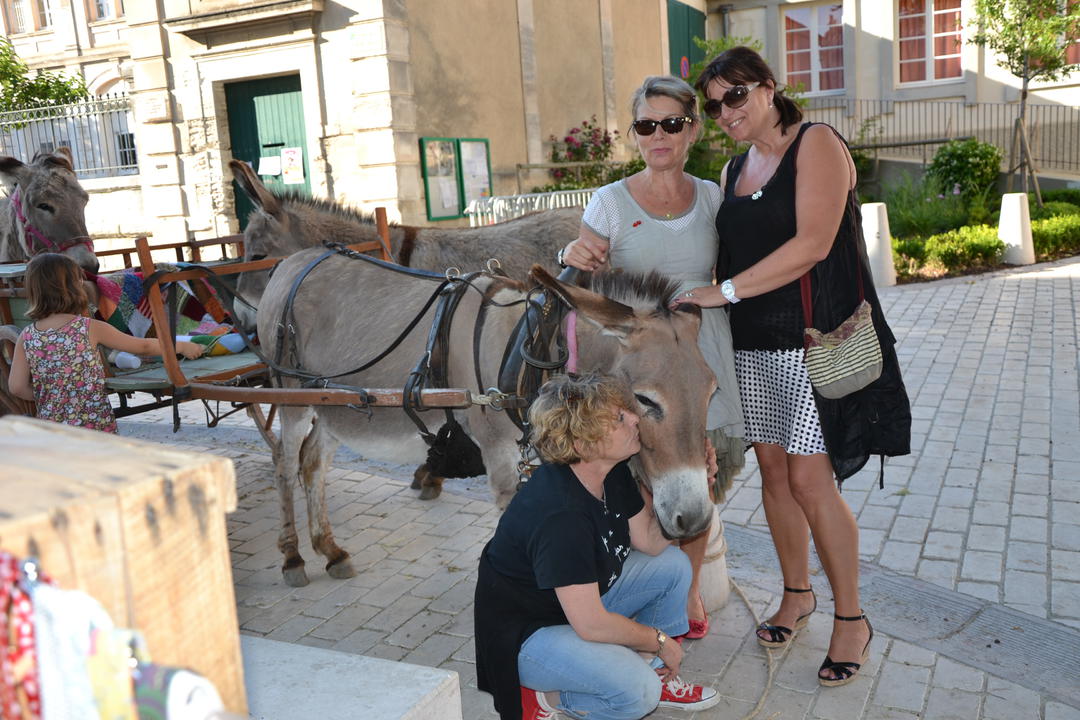 Fête de l'Ane