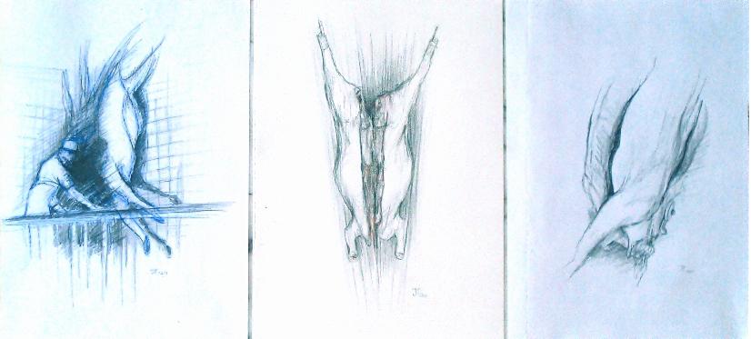 Exposition aux Abattoirs