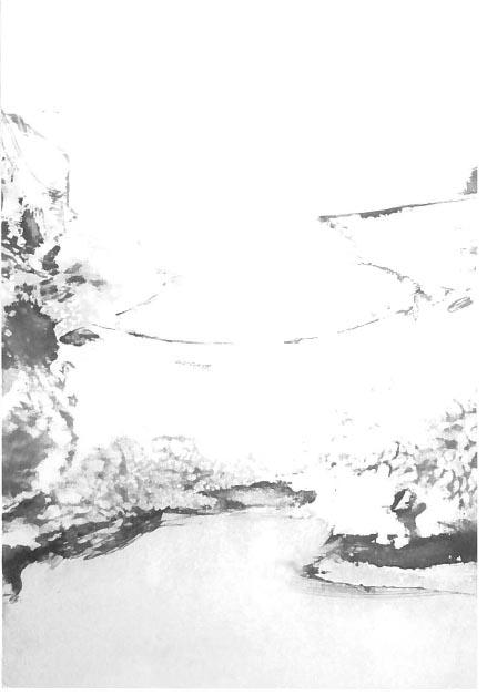 Exposition à l'R du Cormoran