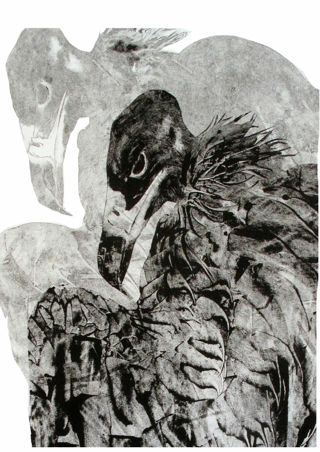 La Médiathèque : Exposition La Faune Sauvage