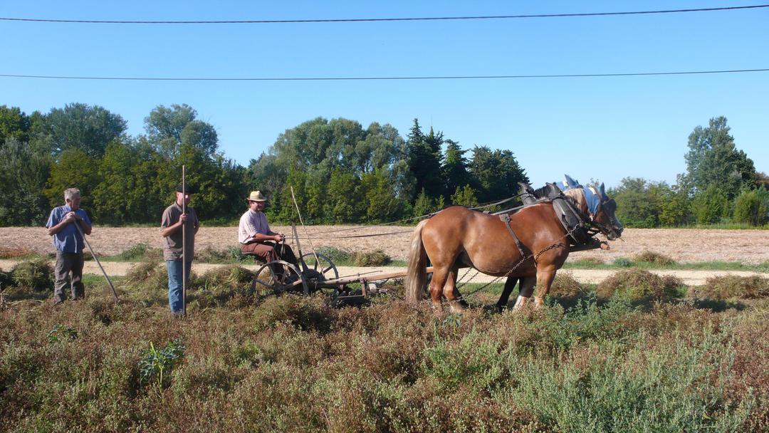 Prémices de la Fête du Patrimoine
