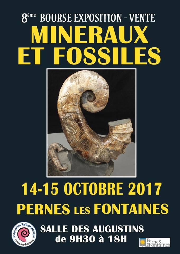 8e bourse exposition de fossiles et minéraux