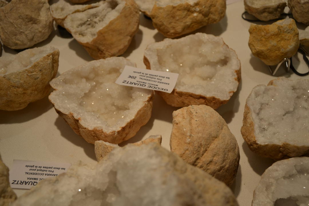 Bourse exposition aux fossiles et minéraux