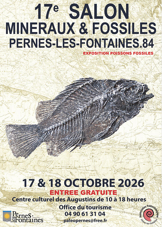 17e Salon de Minéraux et Fossiles