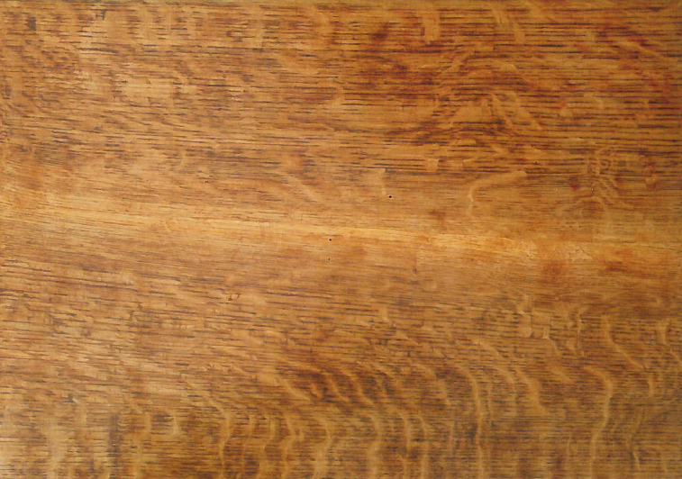 Exposition Sybille FRIEDEL