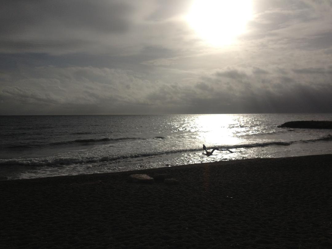 Exposition de peintures et photographies