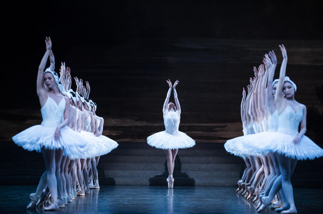 Micro-Folie : Projection du ballet Le Lac des Cygnes