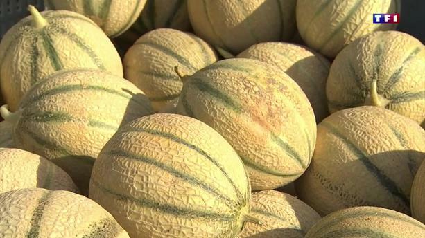 Fête du Melon et du Terroir