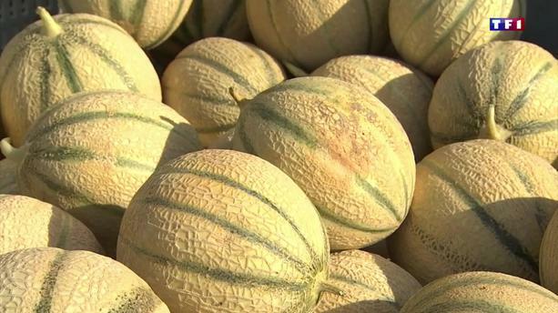 Marché du Melon et du Terroir