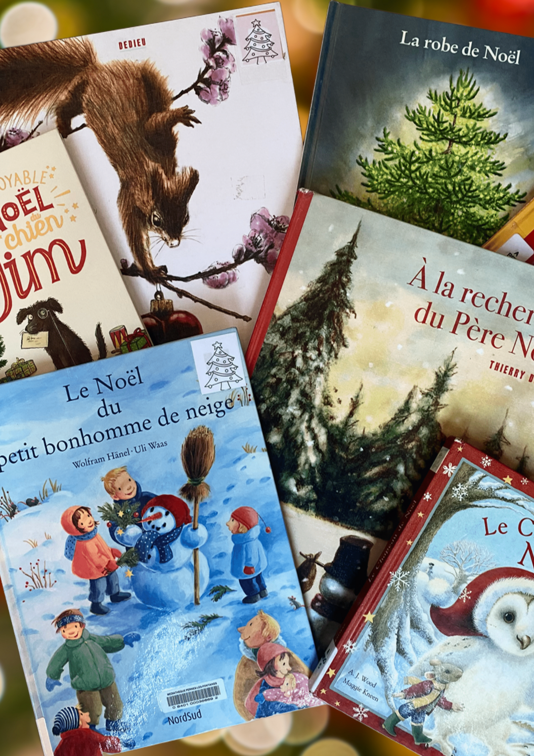 La Médiathèque : Lecture animée