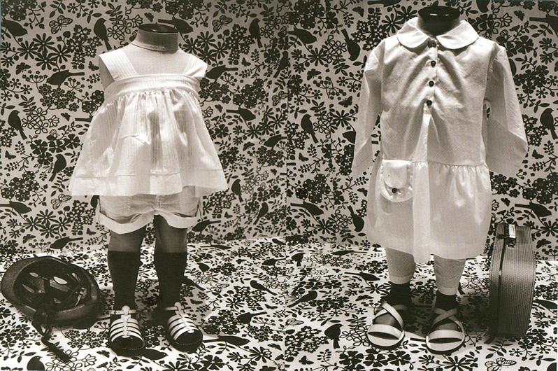 Exposition à l'R du Cormoran