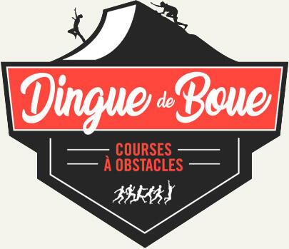 DINGUE DE BOUE entreprises