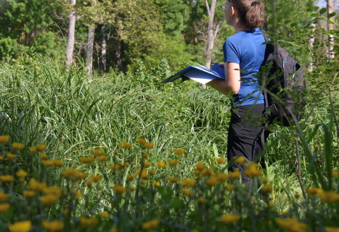 Réunion par le Conservatoire d’espaces naturels de Provence-Alpes-Côte d’Azur