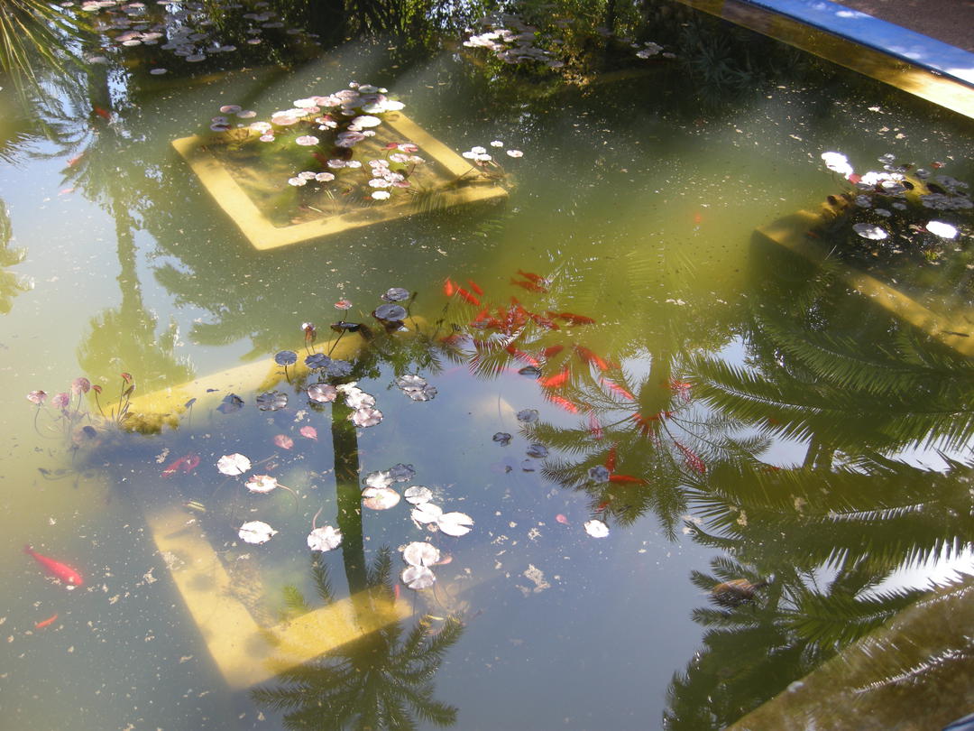 Exposition de peinture et photo