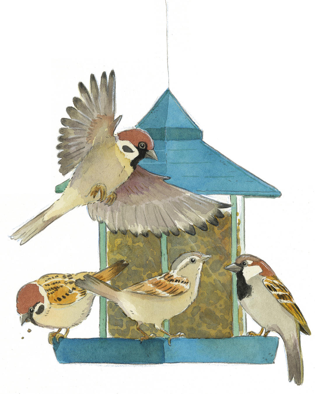 Médiathèque : Rencontre avec l'illustratrice Emilie Vanvolsem