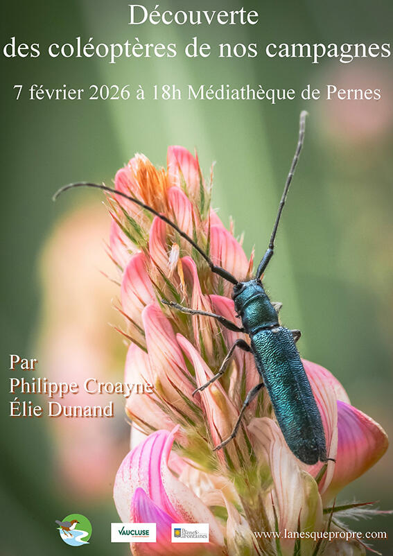 Conférence, Coléoptères de nos campagnes