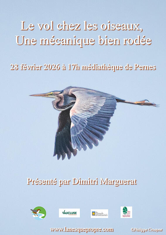 Conférence, Le vol chez les oiseaux, une mécanique bien rodée