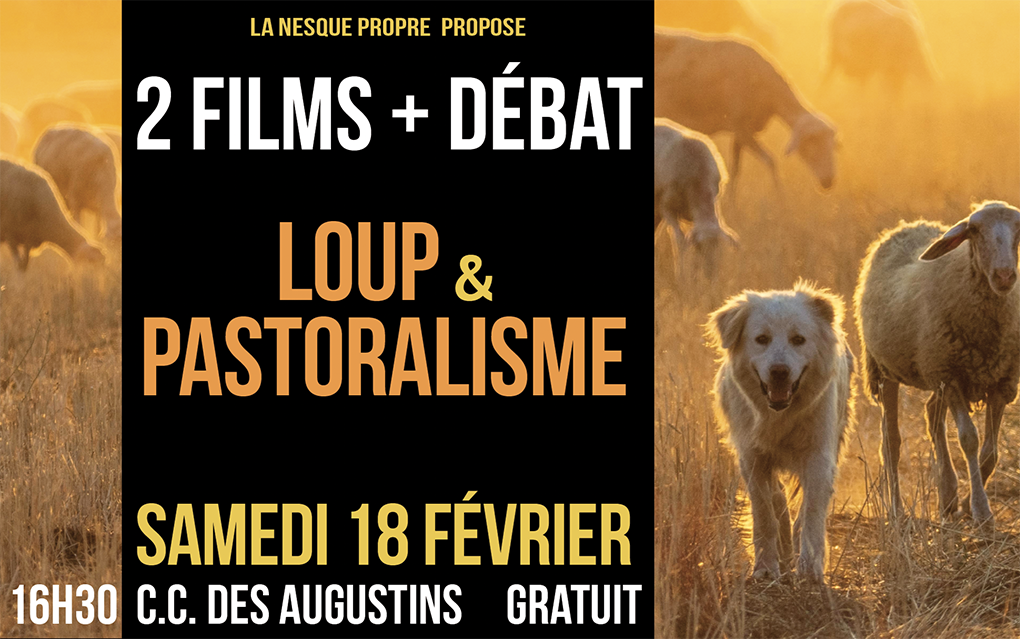 Films-débat "Le loup et le pastoralisme"