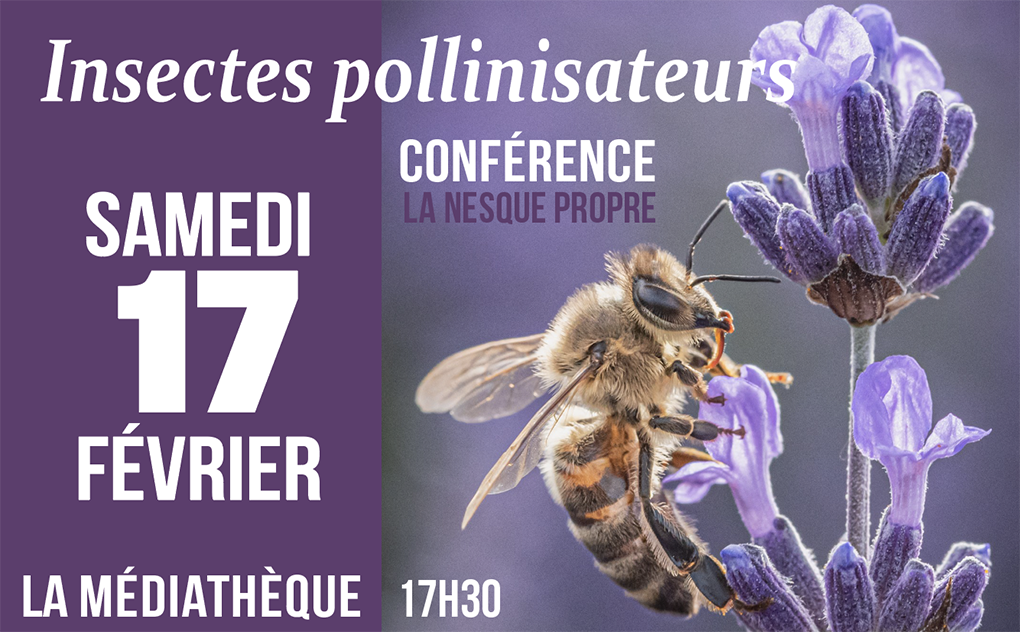 Conférence, Les inspecteurs pollinisateurs