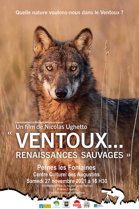 Cinéma, "Ventoux… Renaissance sauvages" de Nicolas Ughetto