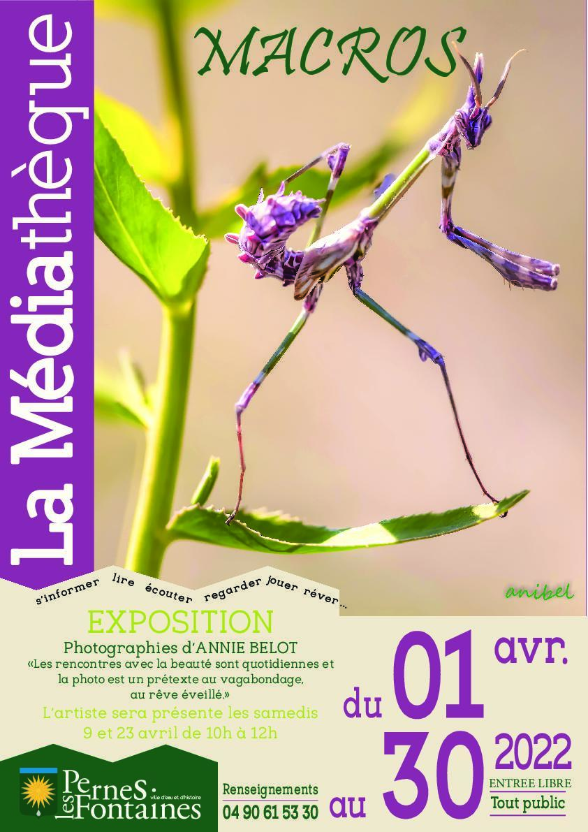 Médiathèque : Exposition de photos