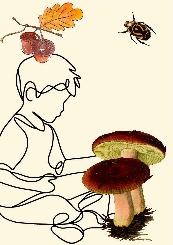 La Médiathèque : Lecture animée