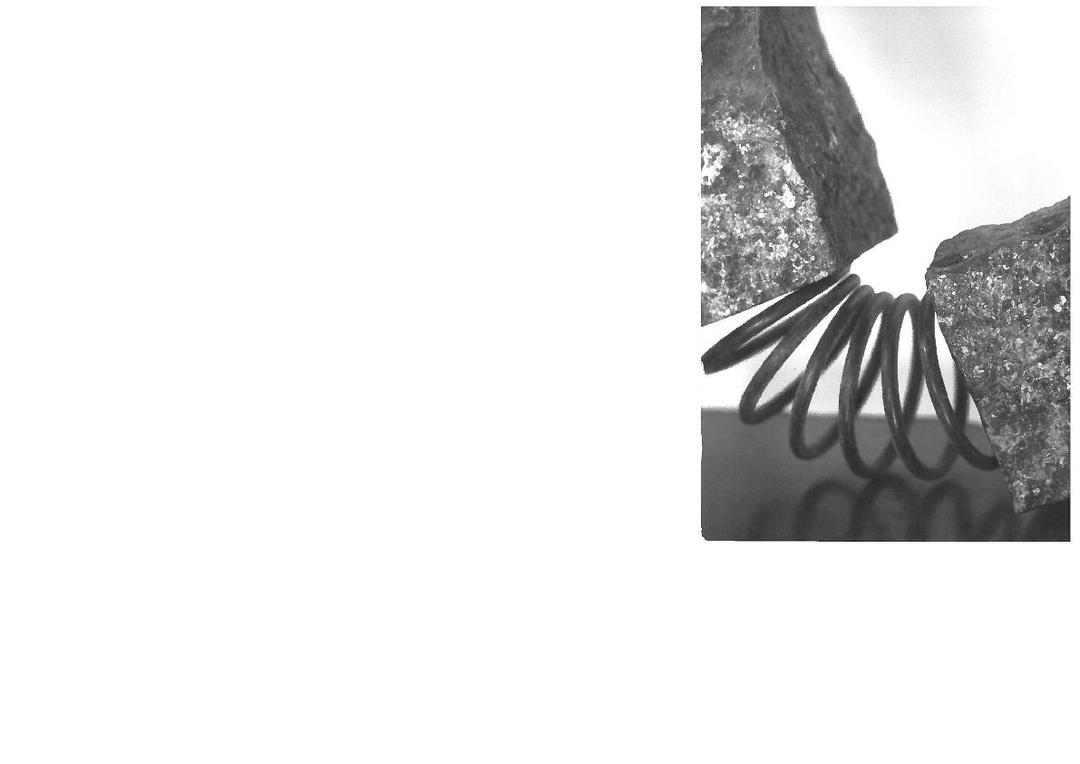 Exposition à l'R du Cormoran