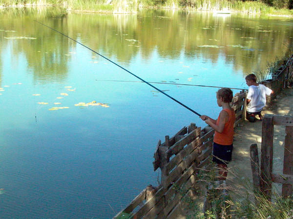 Ouverture de la saison de pêche à la truite 2016