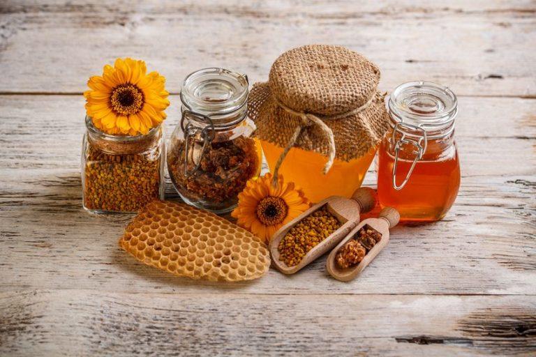 Conférence « les bienfaits de la Propolis »