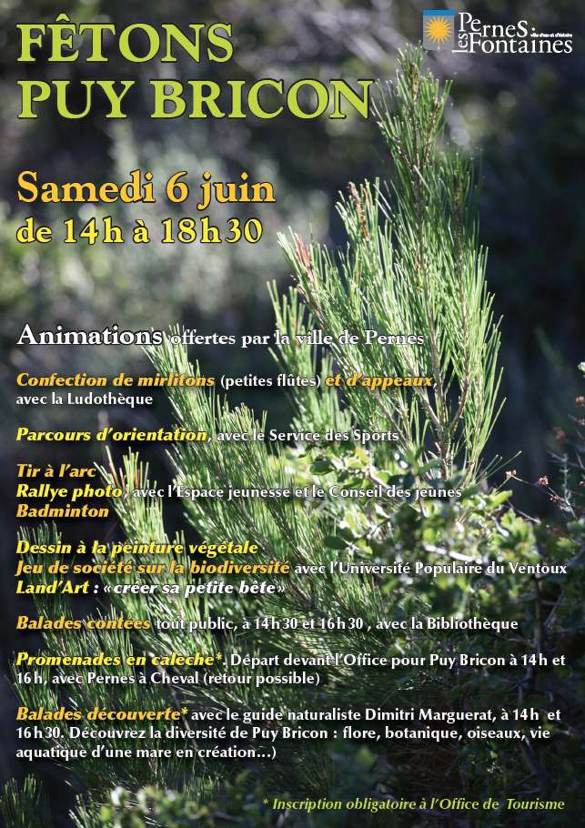 Fêtons Puybricon