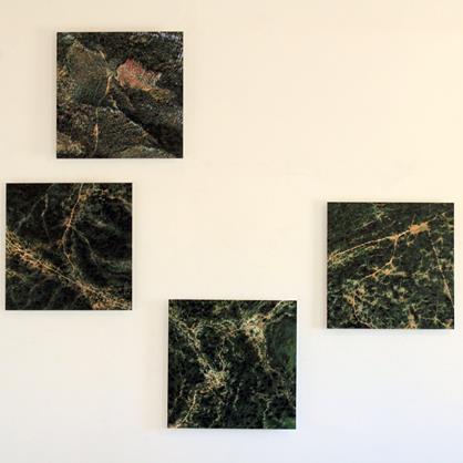 Exposition à l'R du Cormoran