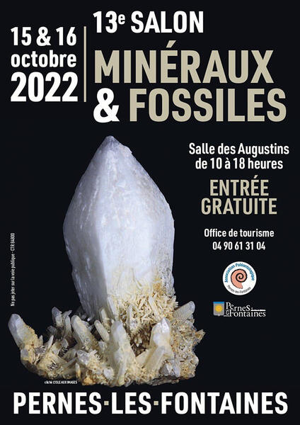 Pierres Brutes Larmes D'apache Naturosphère - Lot De 4 - 2 à 3,5cm - Provenance Arizona - Environ 60g