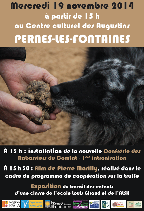 Découverte de la truffe