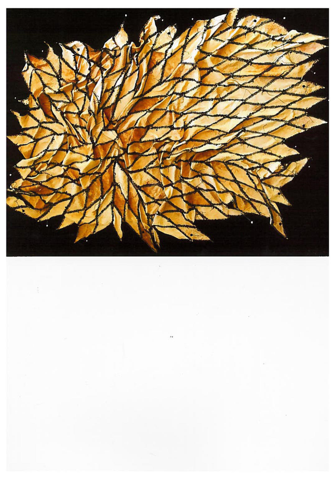 Exposition à la Chapelle des Pénitents blancs