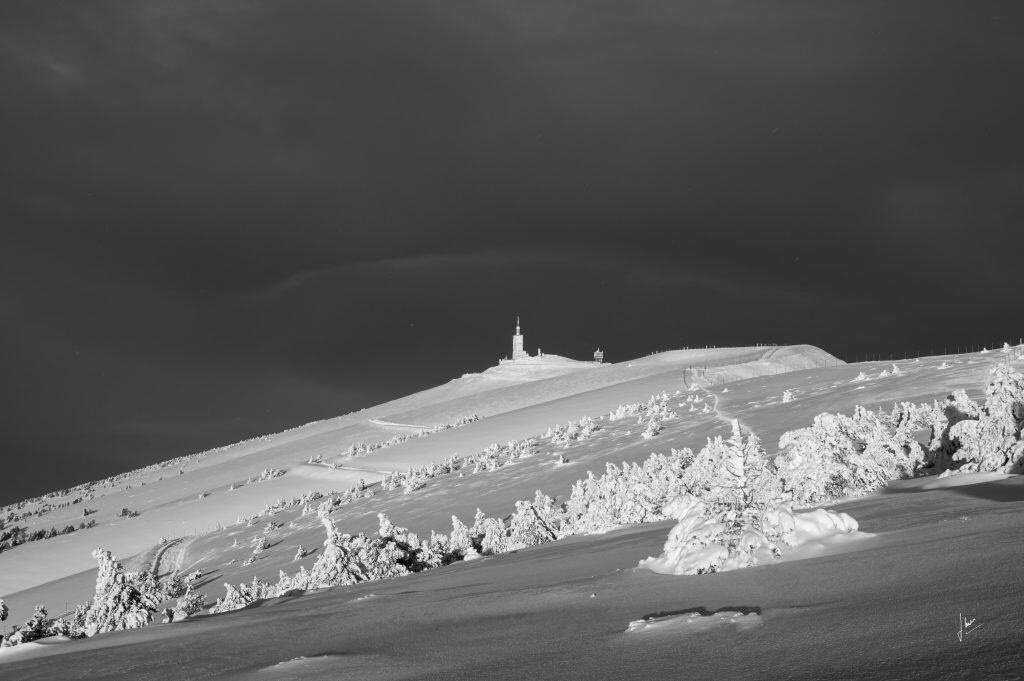 La Médiathèque : Exposition de photographies